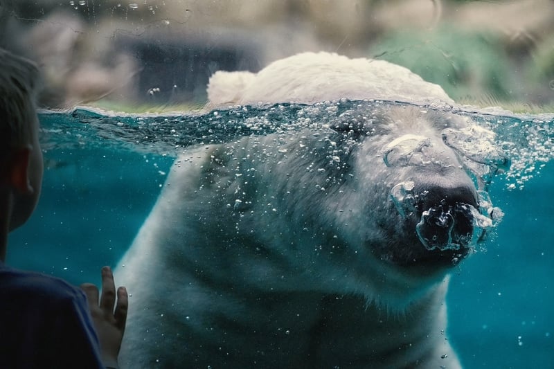 Polar Exploration